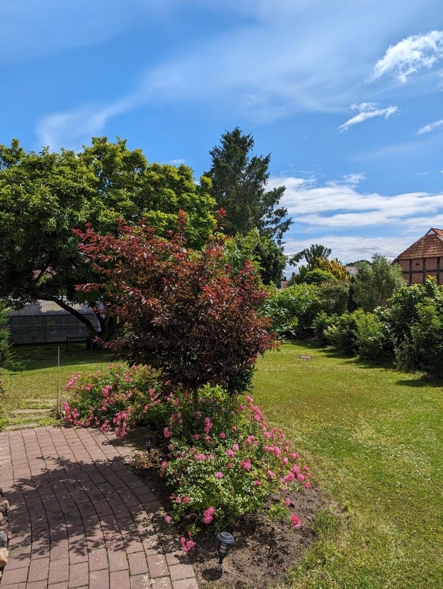Ferienwohnung Bullersberg Balge Екстер'єр фото