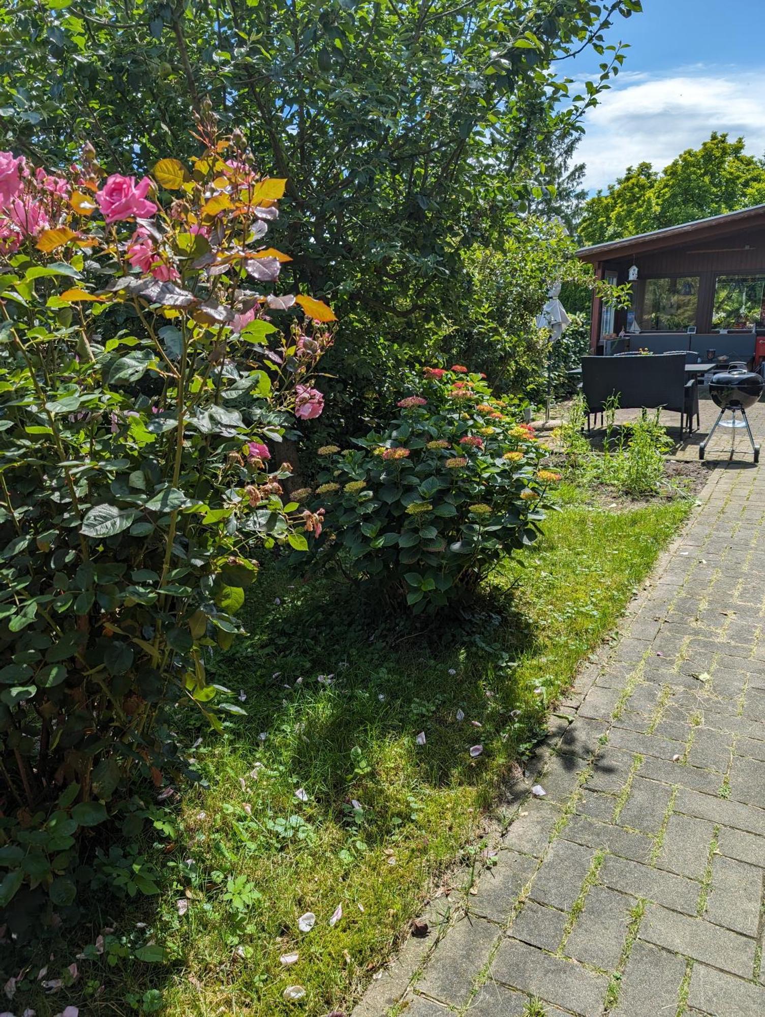 Ferienwohnung Bullersberg Balge Екстер'єр фото
